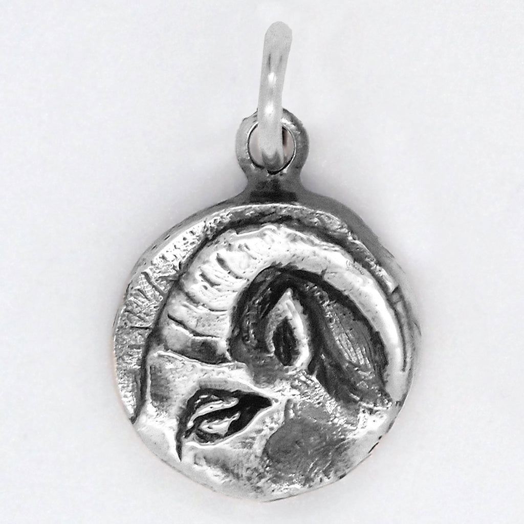 Capricorn Charm
