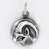 Zodiac Charm - Capricorn