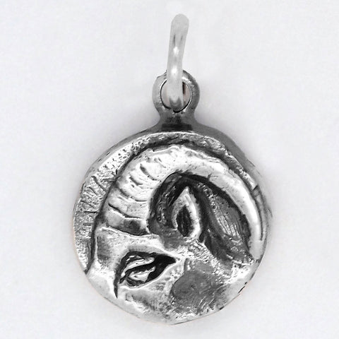 Zodiac Charm - Capricorn