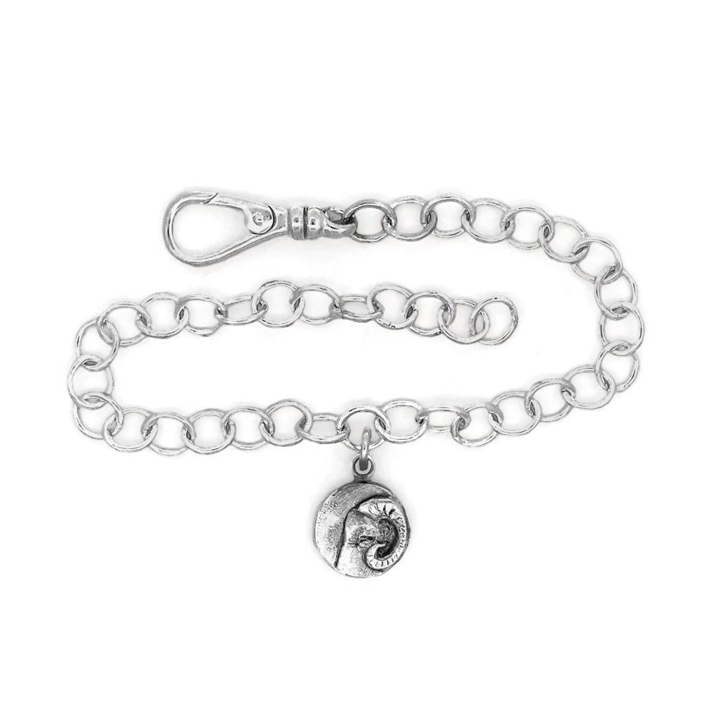 Aries Charm