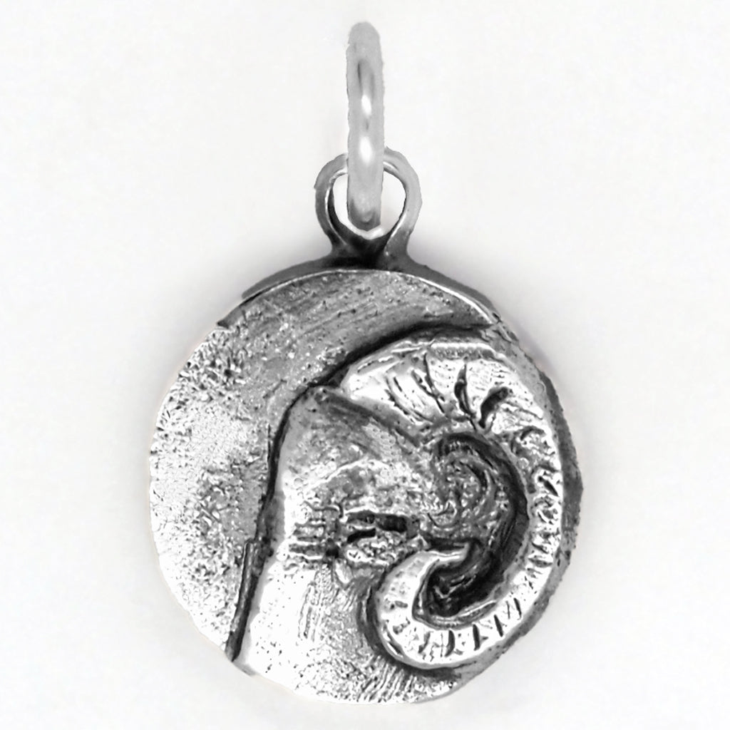 Aries Charm