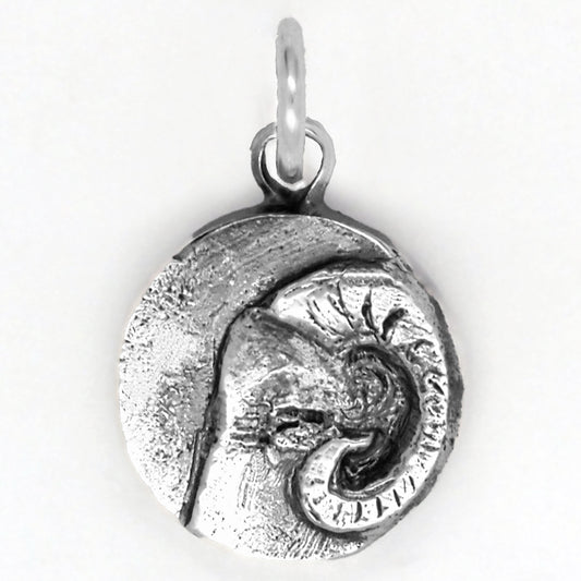 Aries Charm
