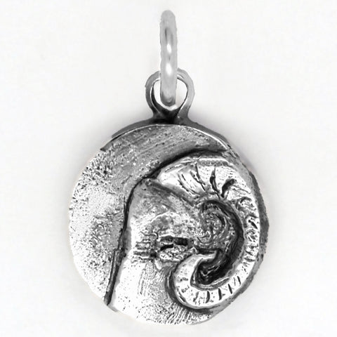 Zodiac Charm - Aries