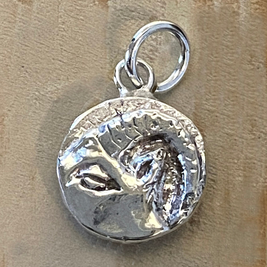 Capricorn Charm