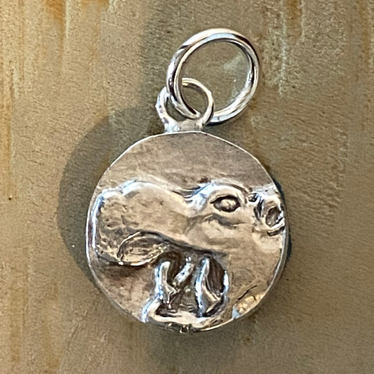 Hippopotamus Charm