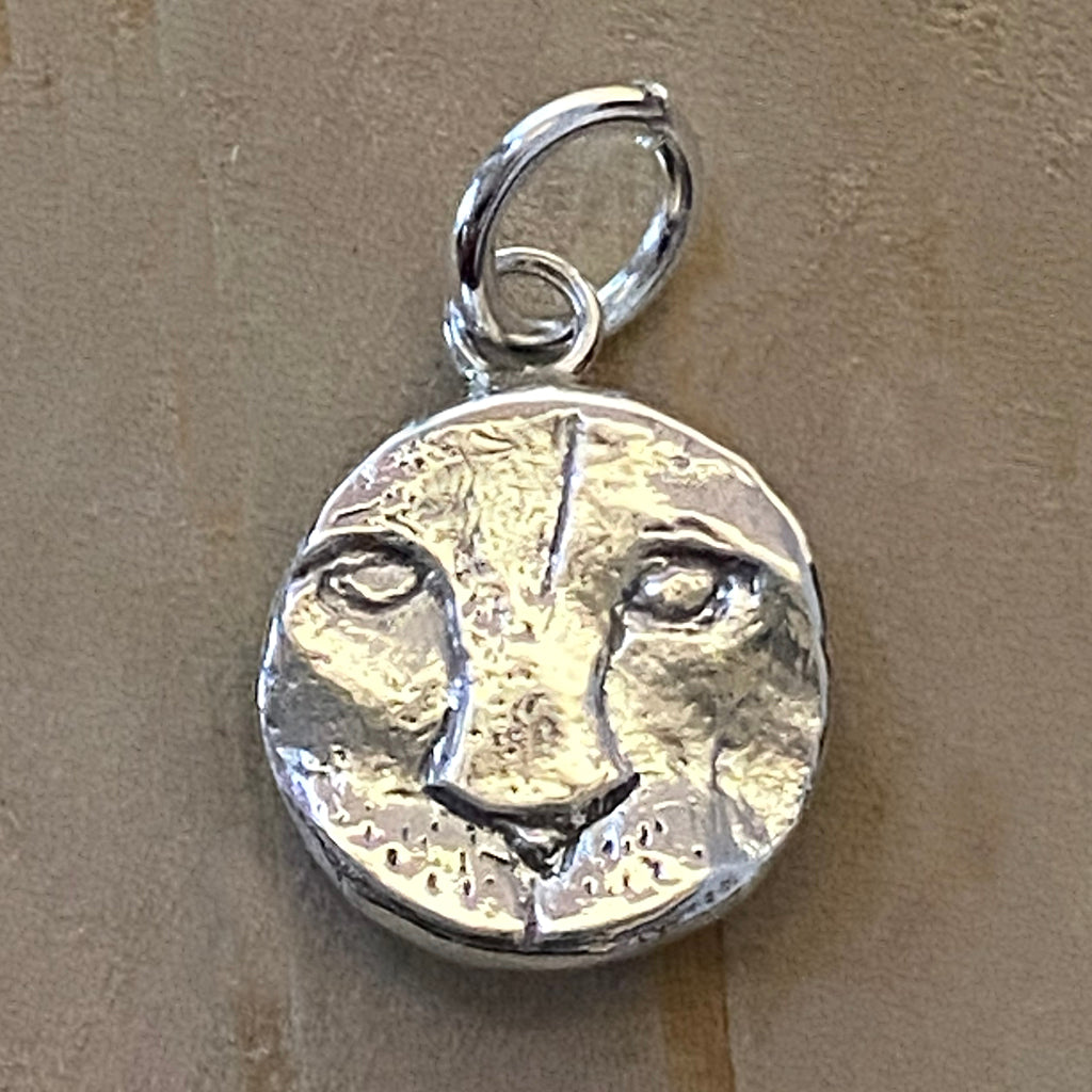 Leo Charm