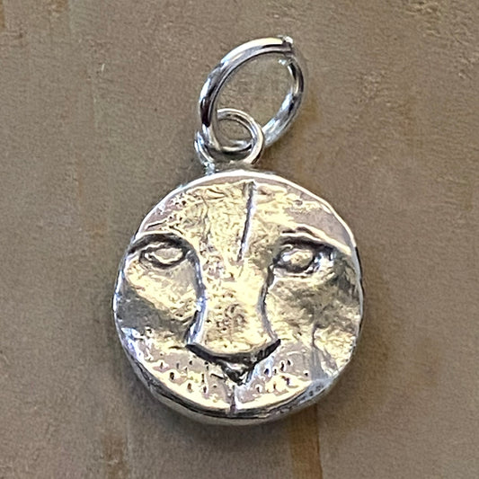 Leo Charm