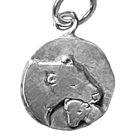 Save the Planet Charm - Mama Bear