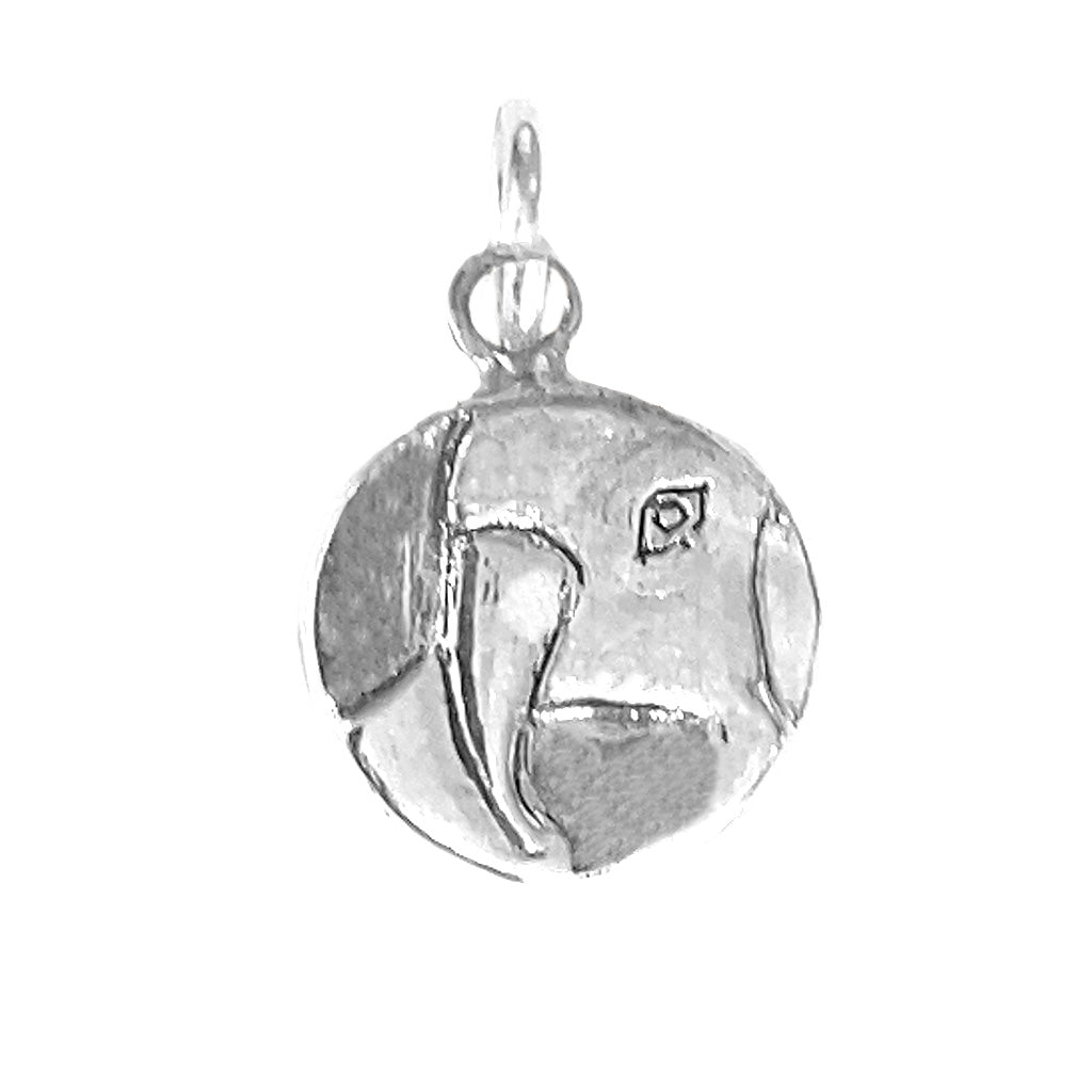 Parot Charm
