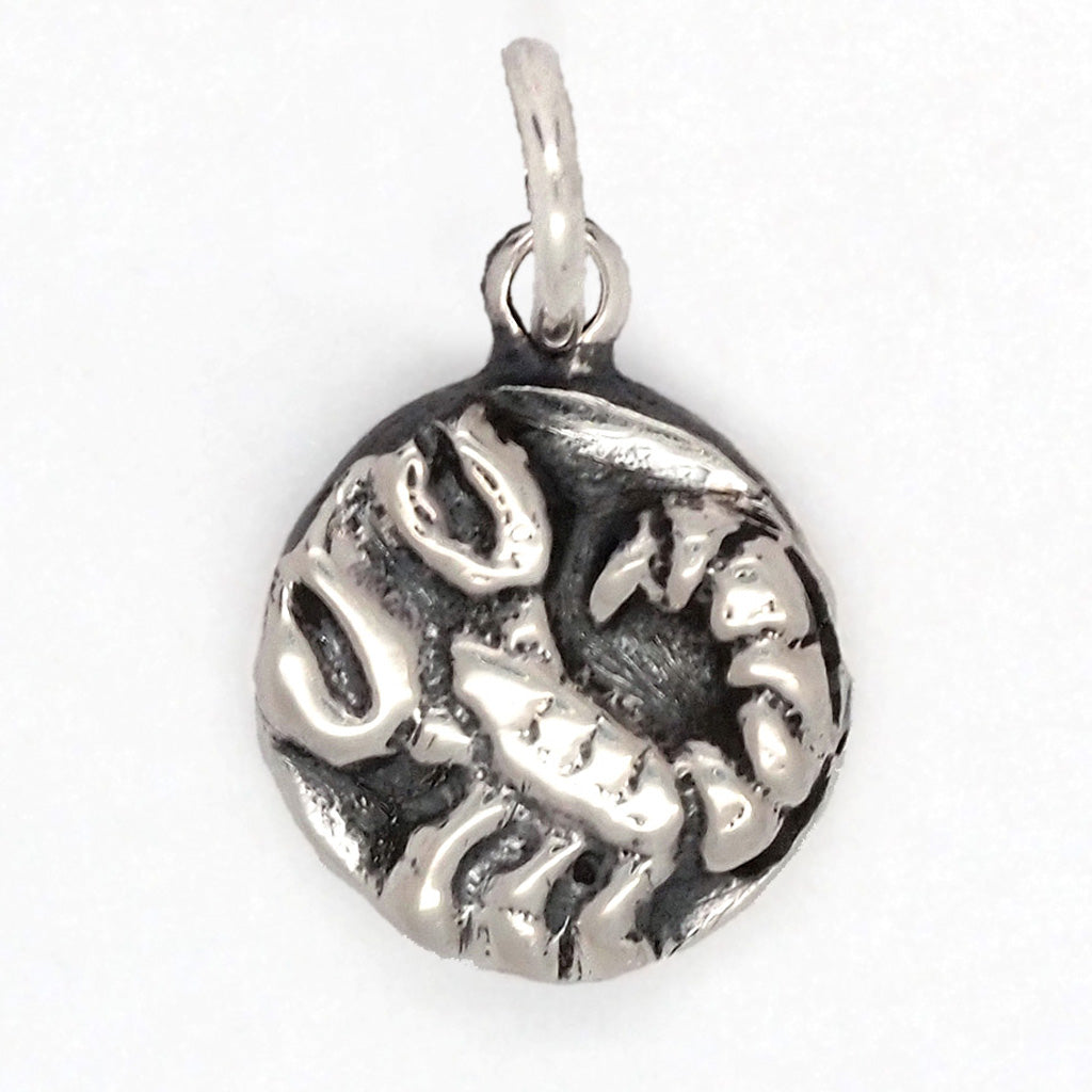 Scorpio Charm