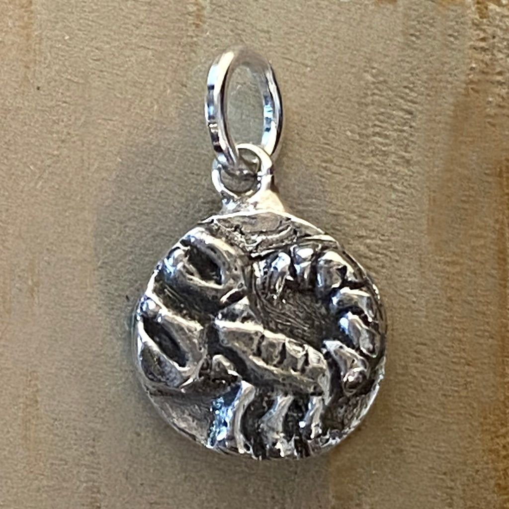 Scorpio Charm