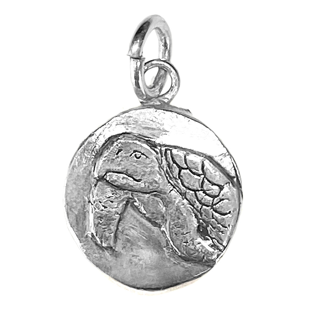 Sea Turtle Charm