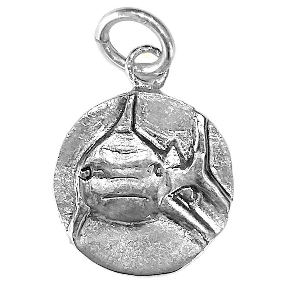 Shark Charm