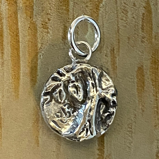 Witness Tree Devil's Den Charm